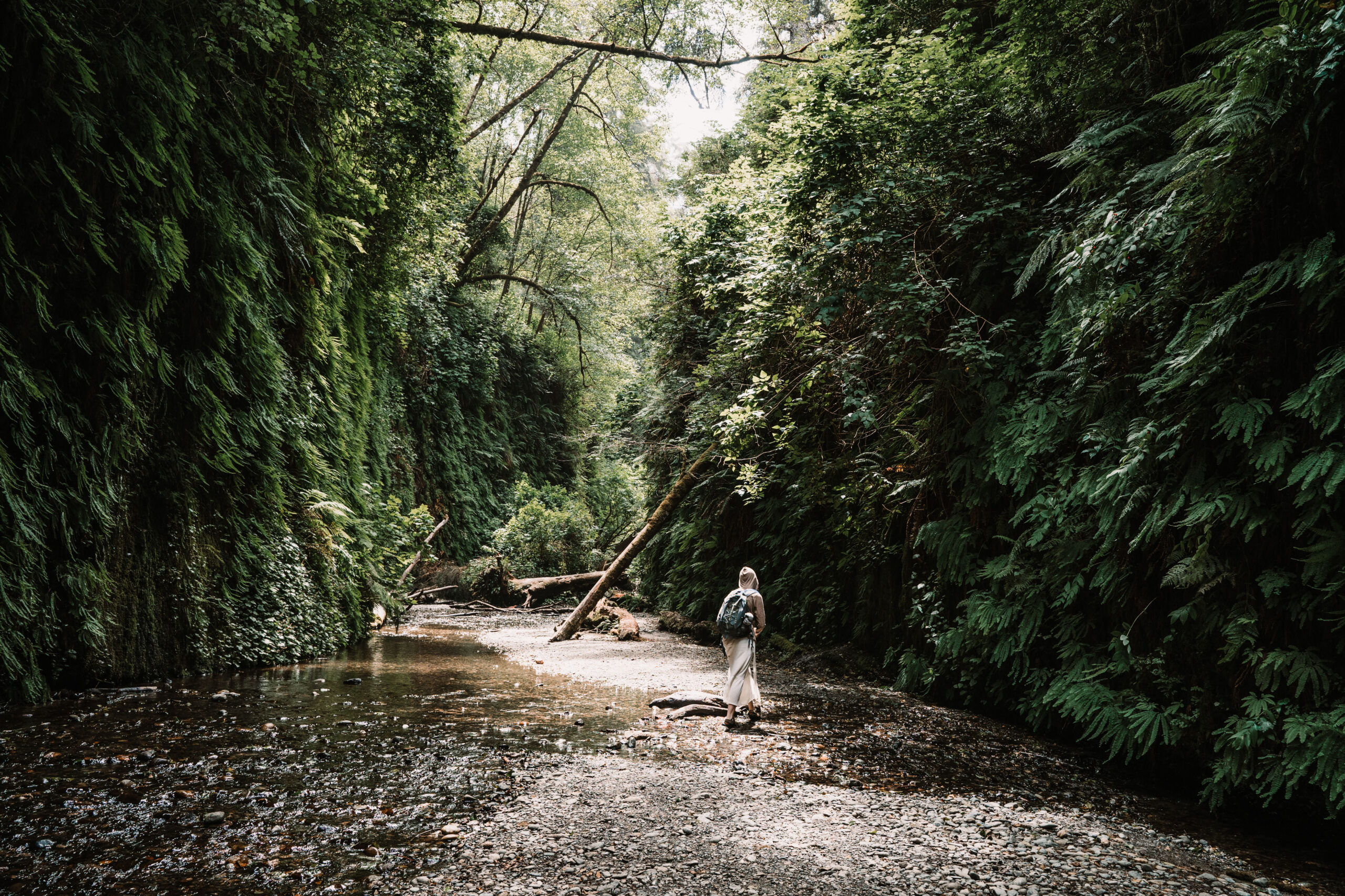 A girl walking through the stream in the middle of Fern Canyon