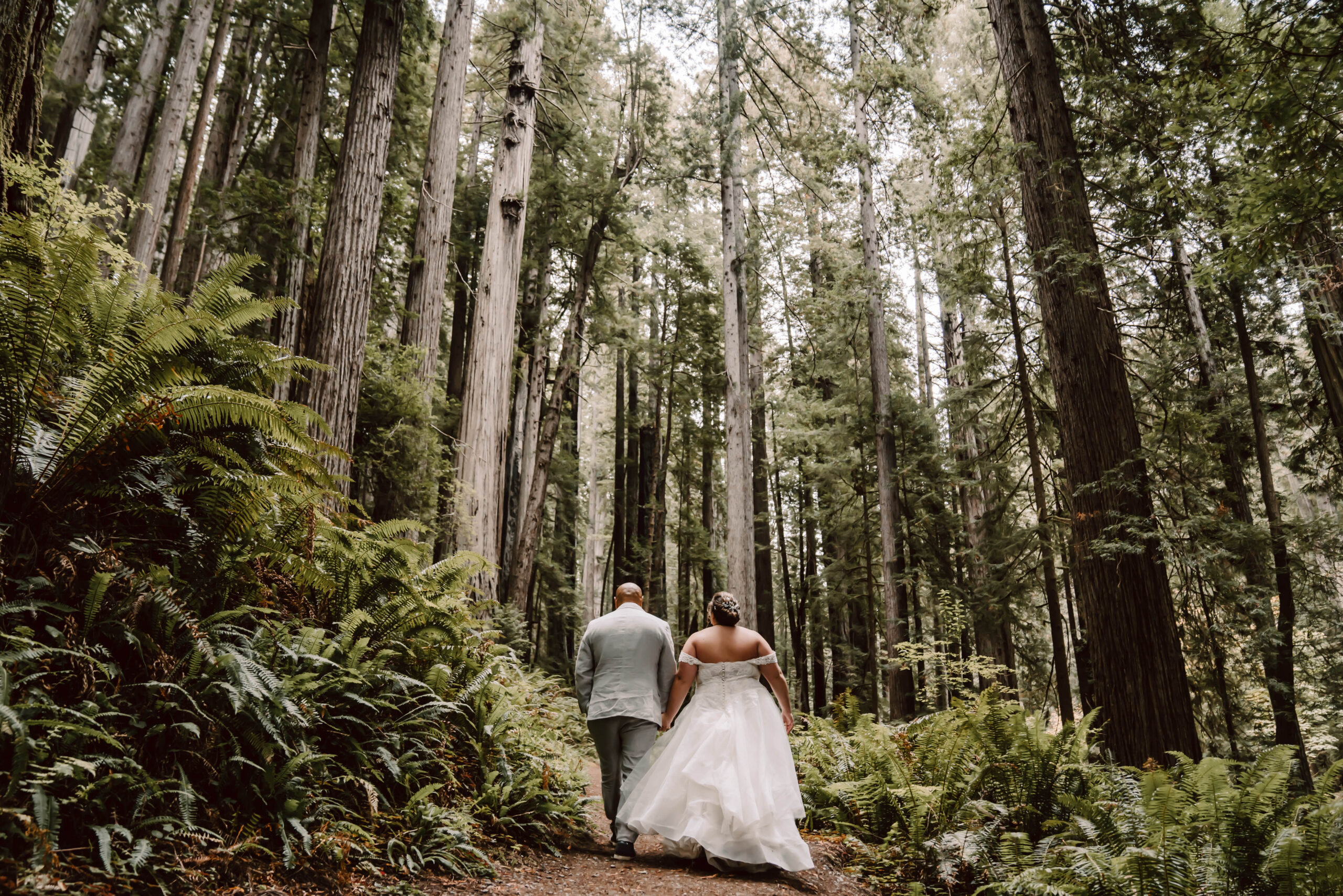 A bride and groom walking through the giant redwood forest in Northern California for their Elopement day 