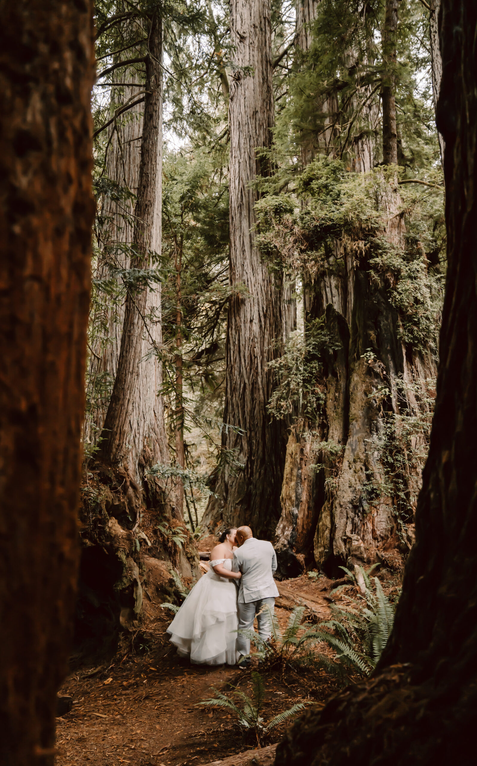 A wedding couple standing in between really tall Redwood Trees for their Elopement day