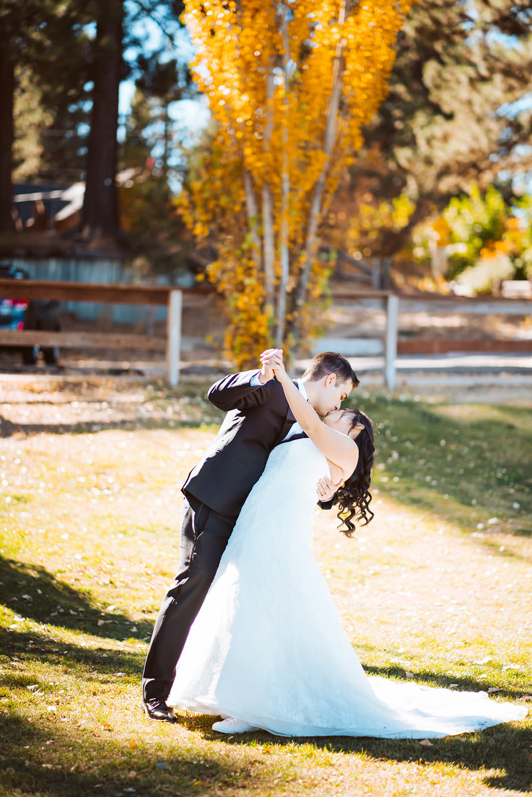 A groom dipping his bride in front of a bright orange tree for a Fall wedding in Tahoe