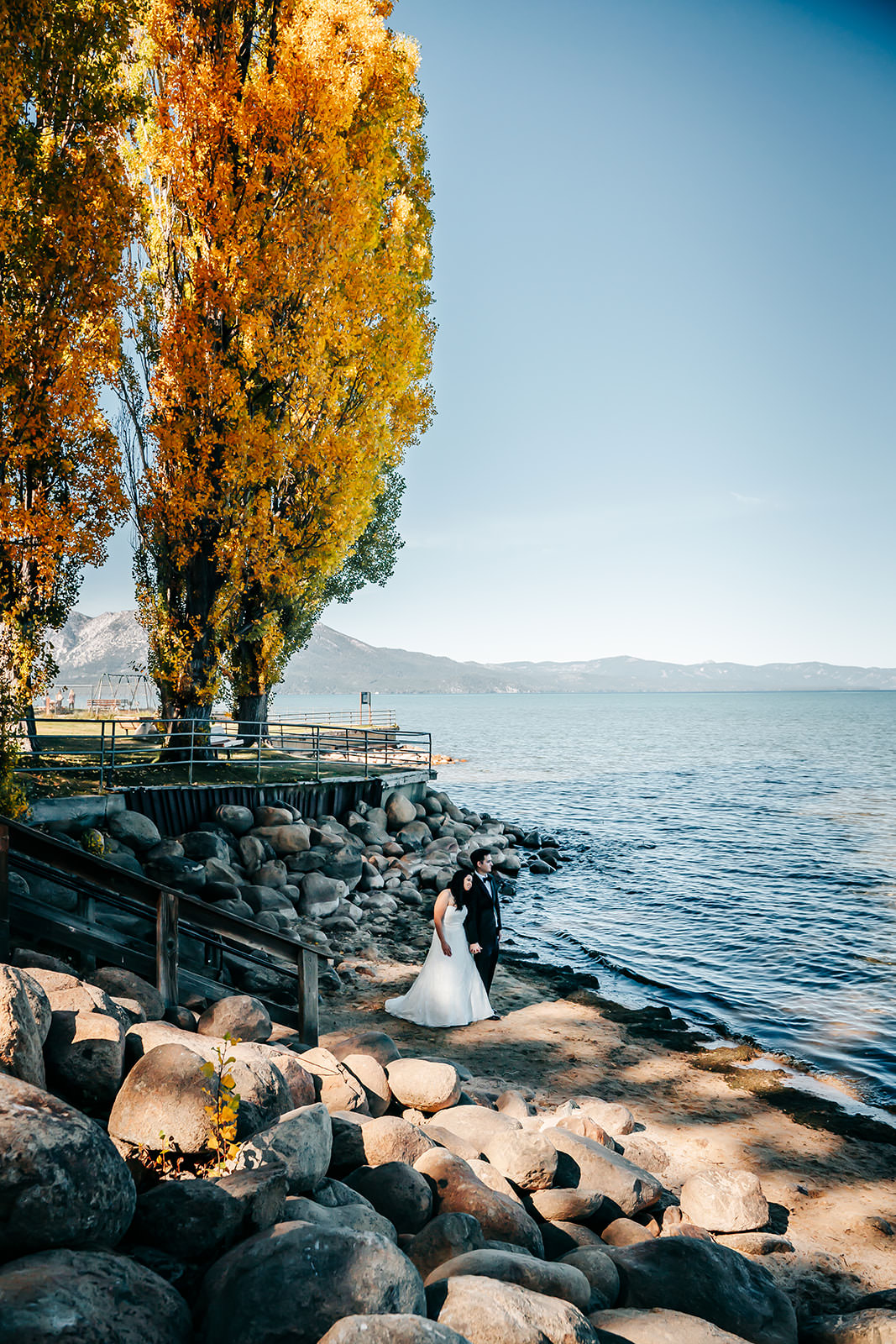 A wedding couple standing on the beach with some giant orange trees in the back looking onto the lake for a Fall Wedding in Tahoe