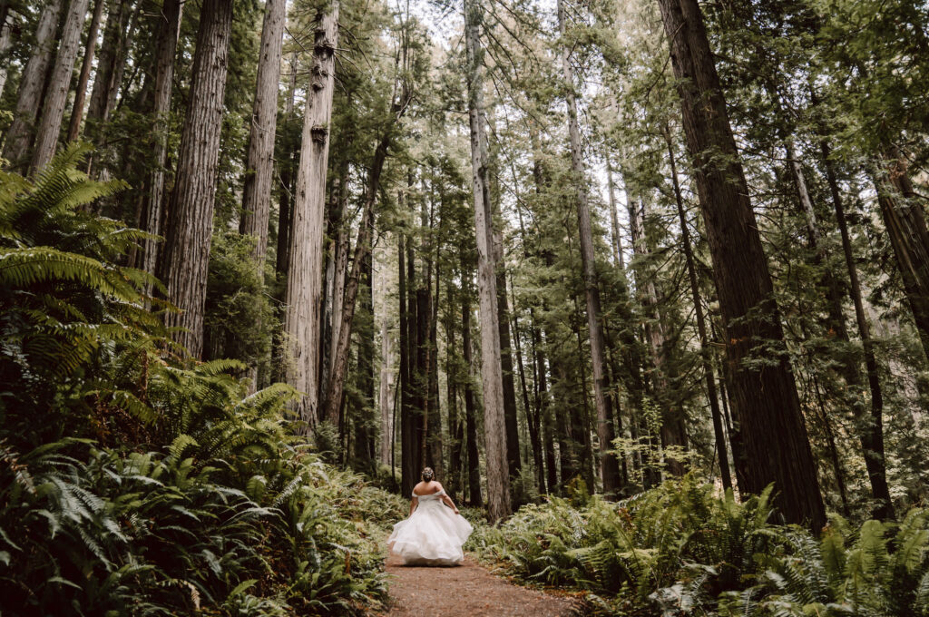 A bride dancing in the giant redwoods in Northern California for her elopement day
