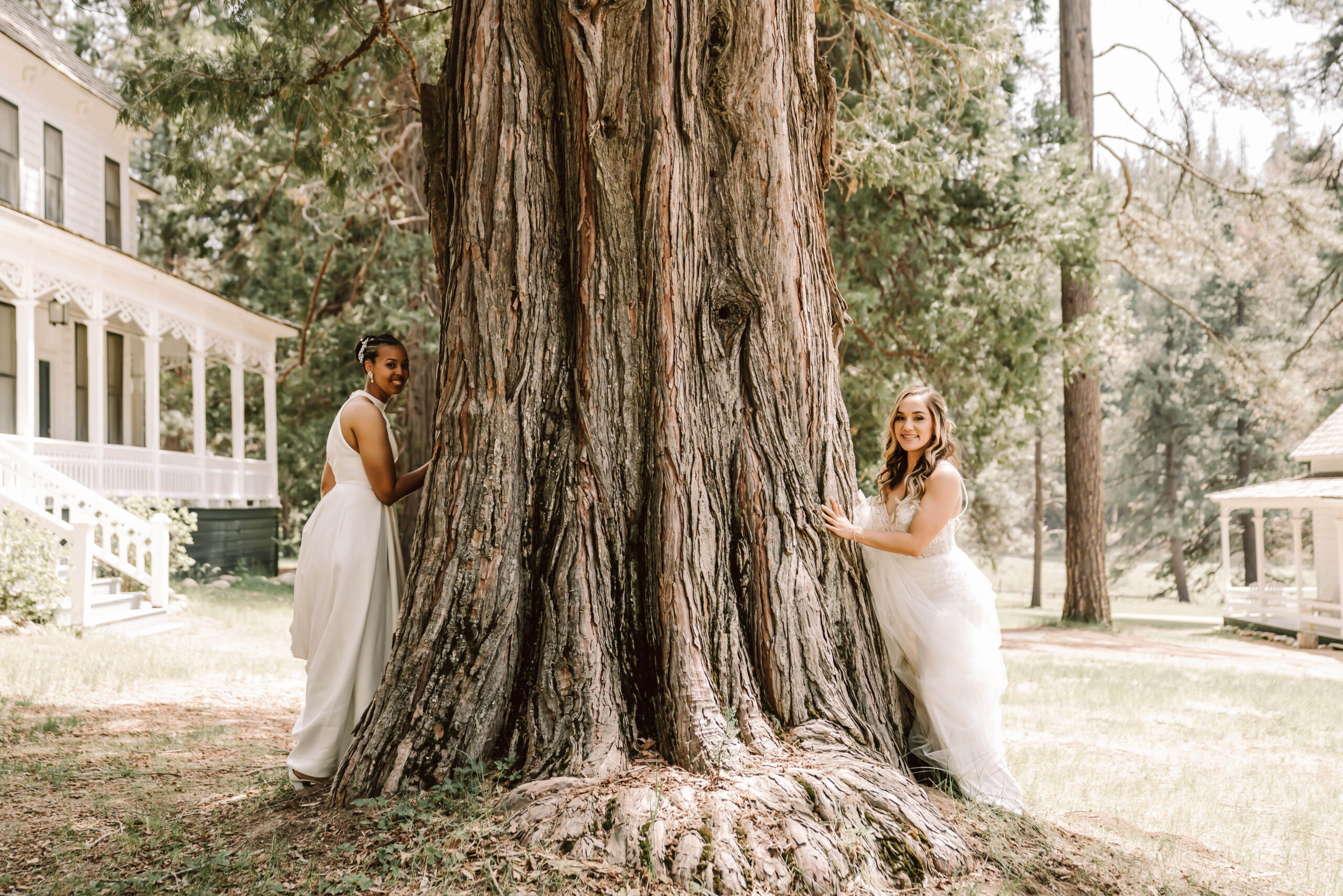 Two brides hiding behind a big tree getting ready for their first look at for their Yosemite Elopement