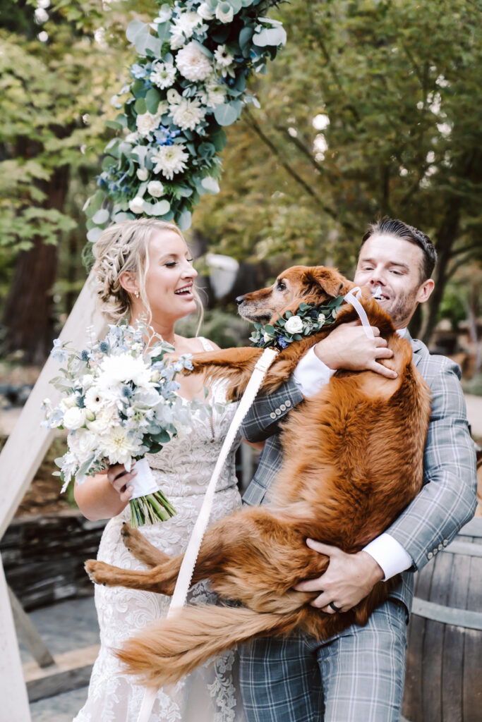 the bride and groom holding their dog after their wedding ceremony 