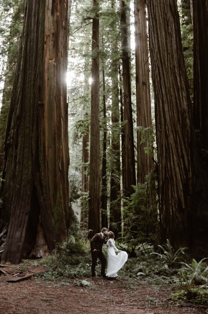 an elopement couple dancing at the bottom of giant redwood trees on their elopement day