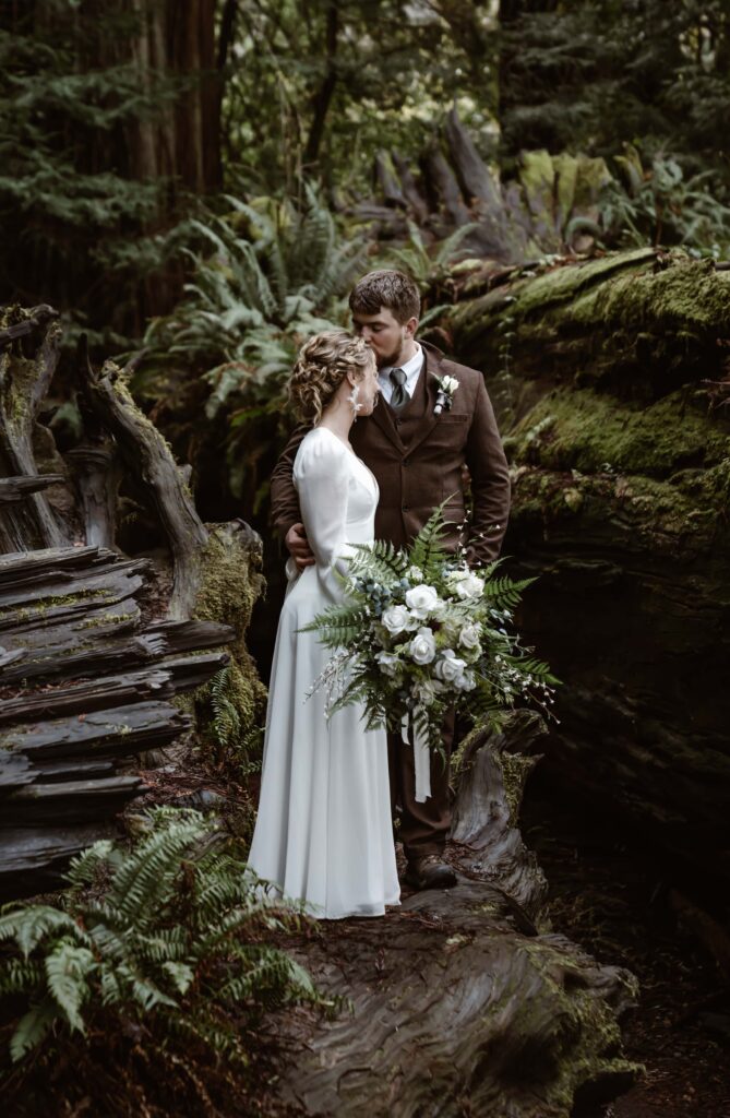 an bride and goom holding each other standing on a giant redwood tree in the rainforest of northern California