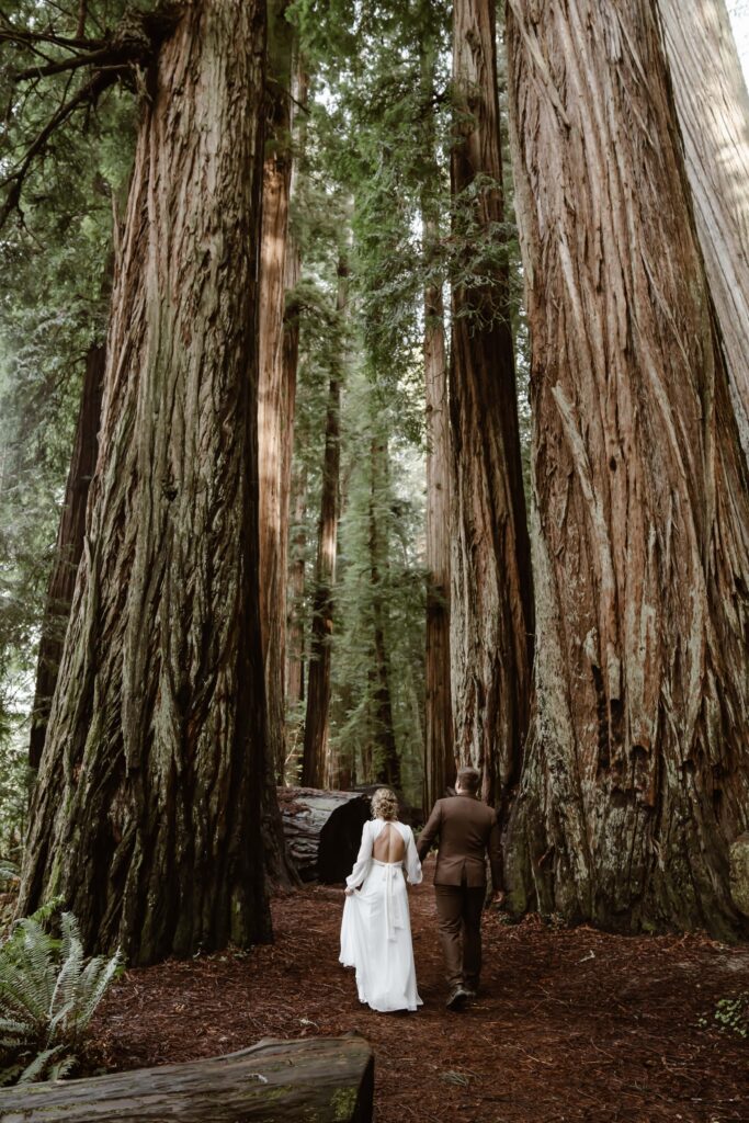a bride and groom holding hands and walking through 2 giant redwood trees