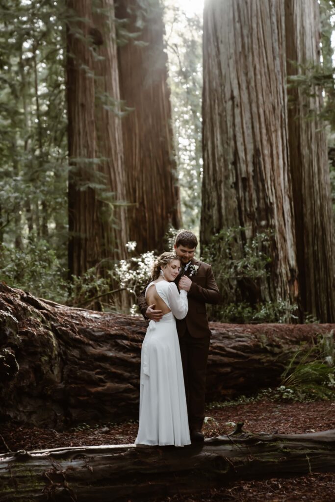 an elopement couple holding each other in the redwood forest of northern California