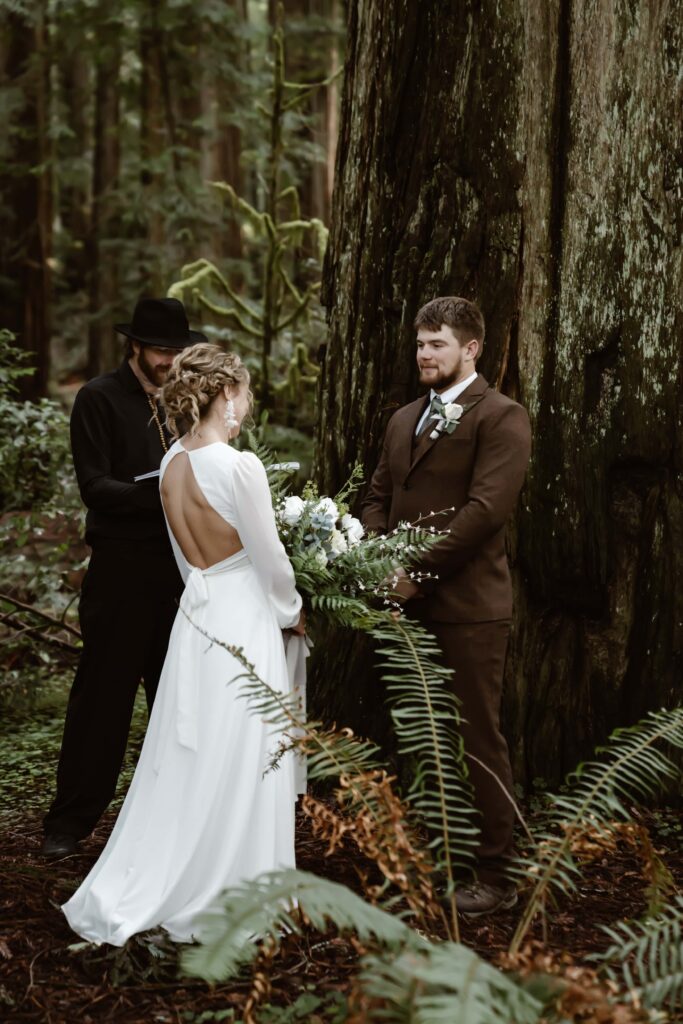 Elopement ceremony in the Redwood Trees in Northern California