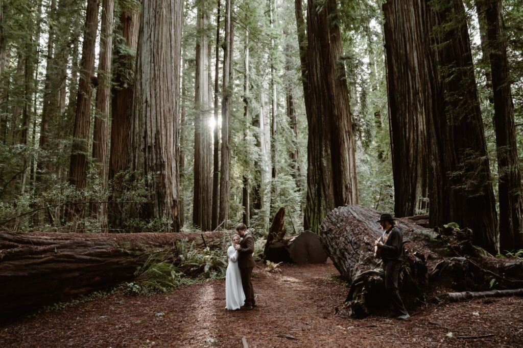 a live musician playing music for a first dance in the redwoods trees for an elopement day