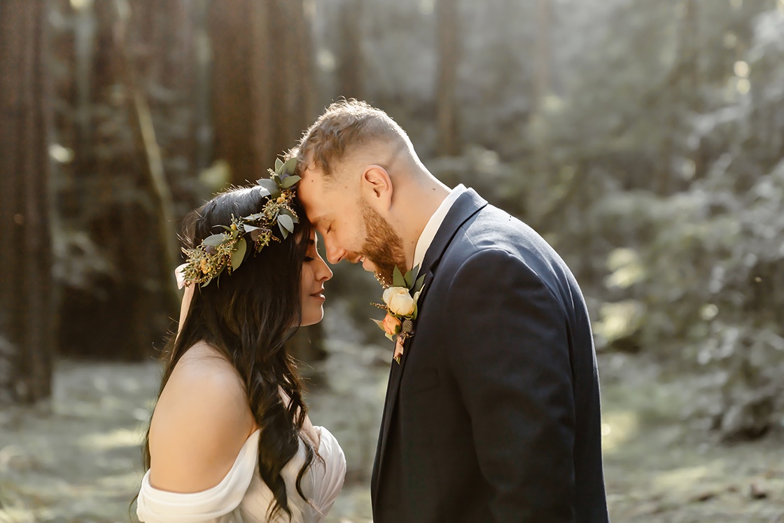 Couples portraits at the Armstrong Redwood elopement