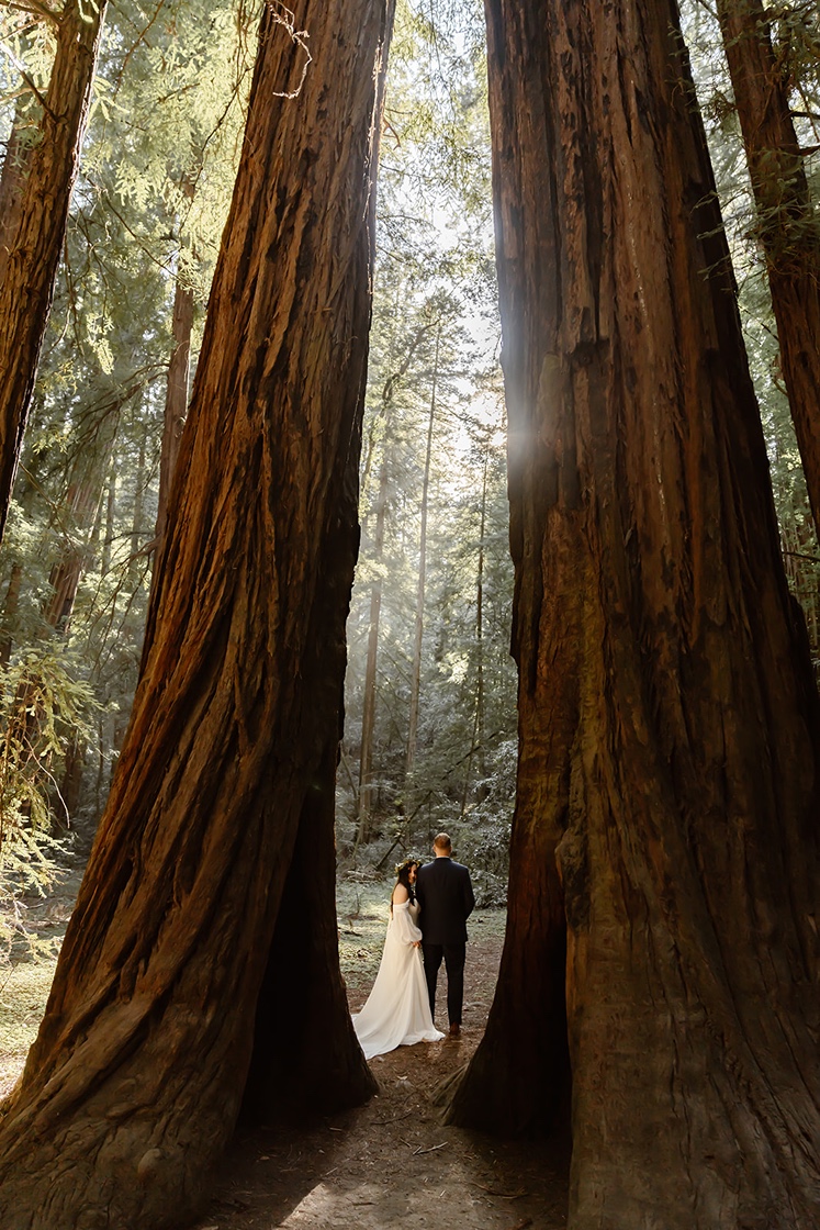 Bride and groom at their Redwoods elopement
