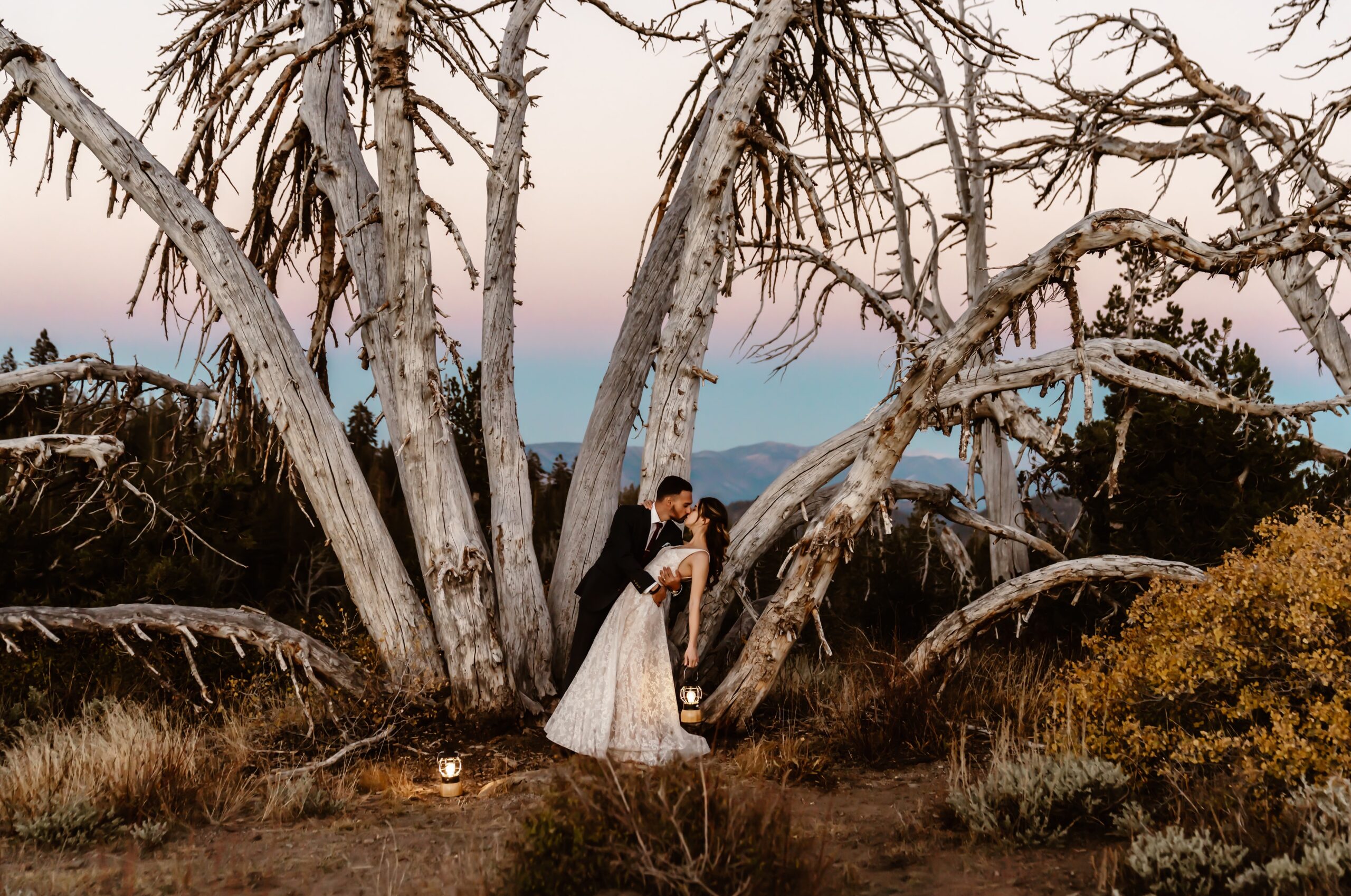 Bride and groom kiss with whimsical tree in the background