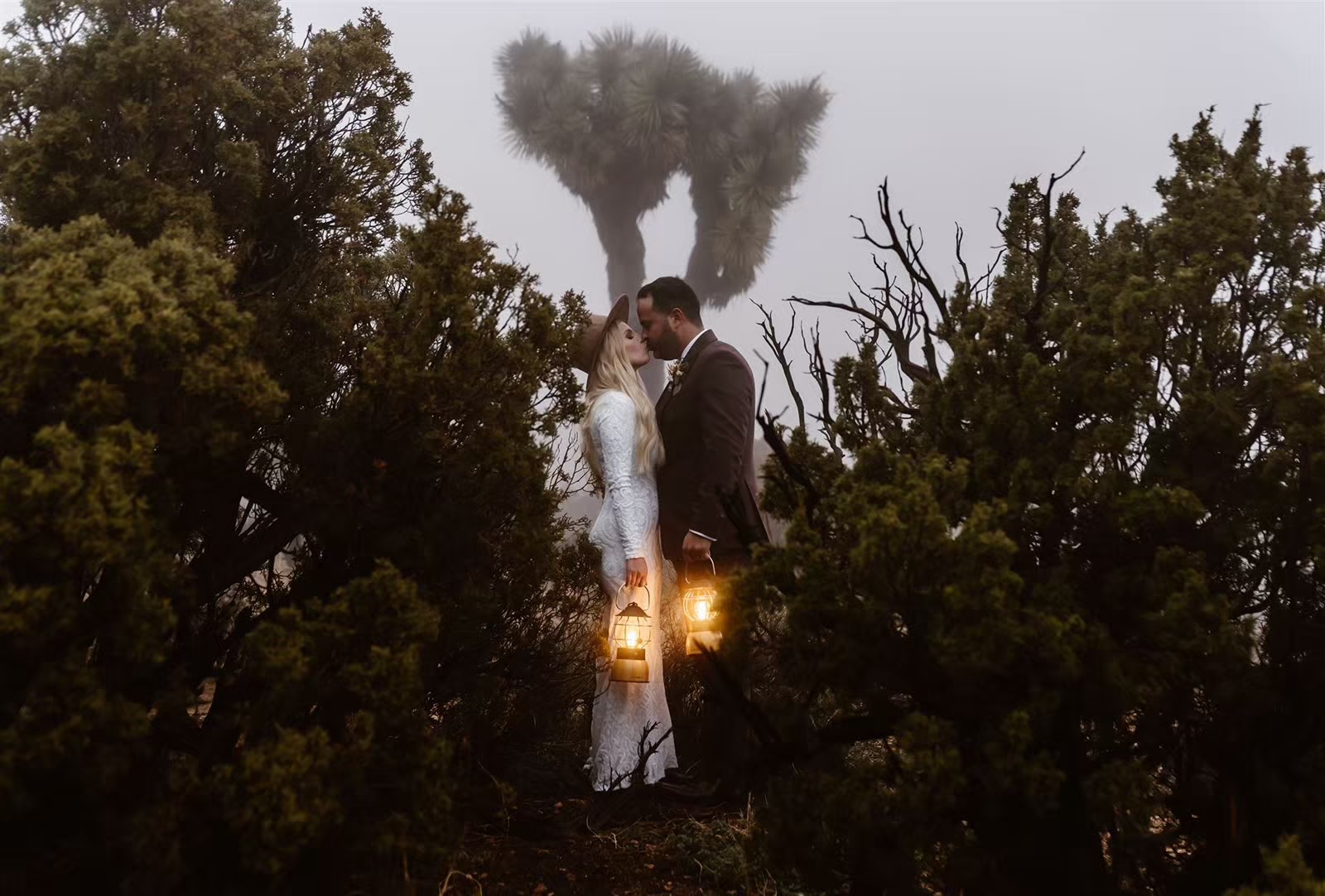 Bride and groom kiss in Joshua Tree National Park