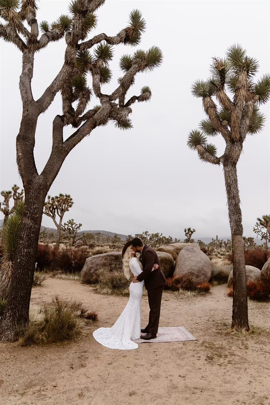 Bride and groom kiss at their Joshua Tree elopement ceremony
