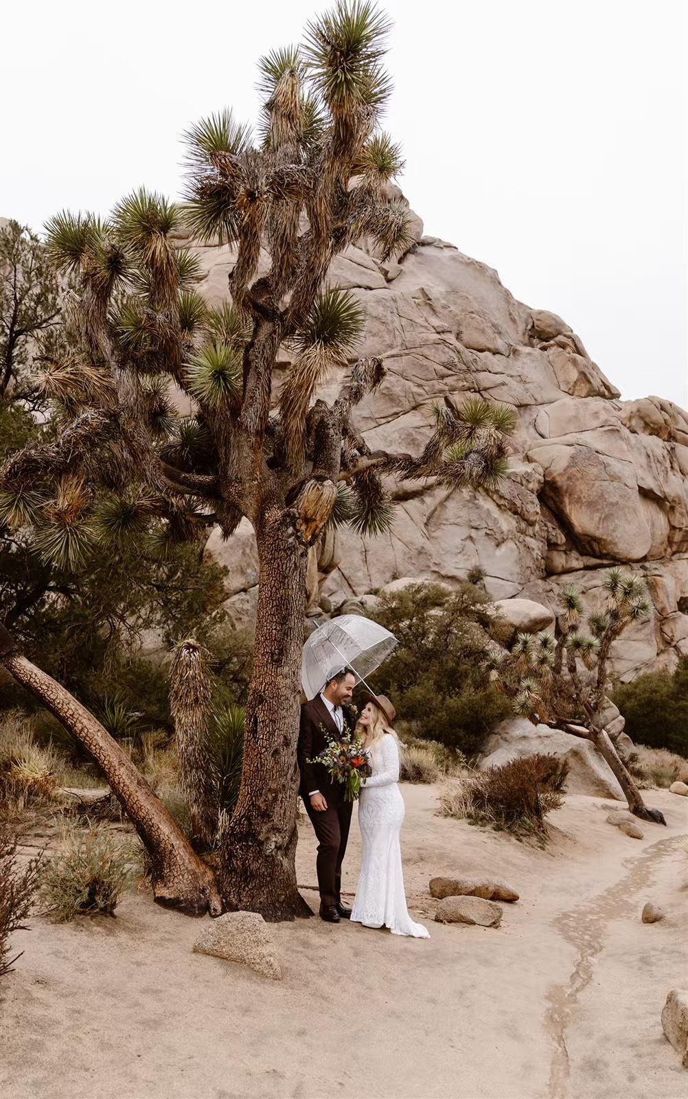 Bride and groom pose with clear umbrellas in Joshua Tree National Park