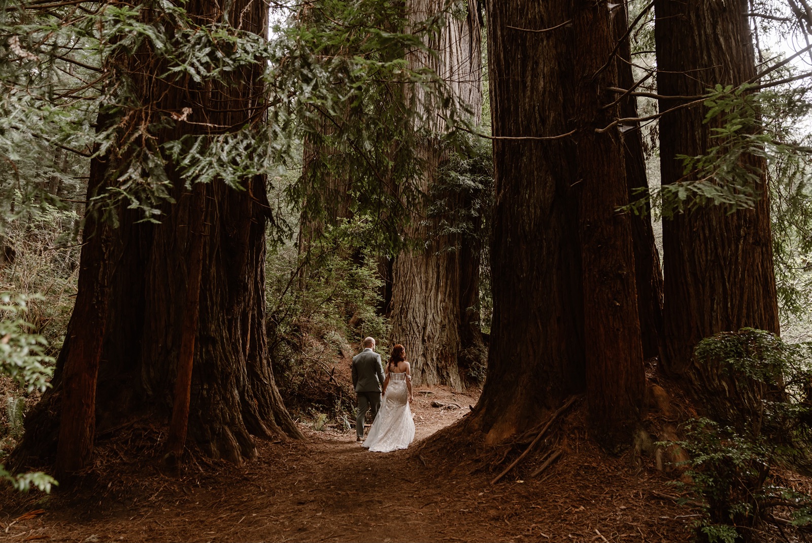 Bride and groom with the Redwood trees in Fern Canyon
