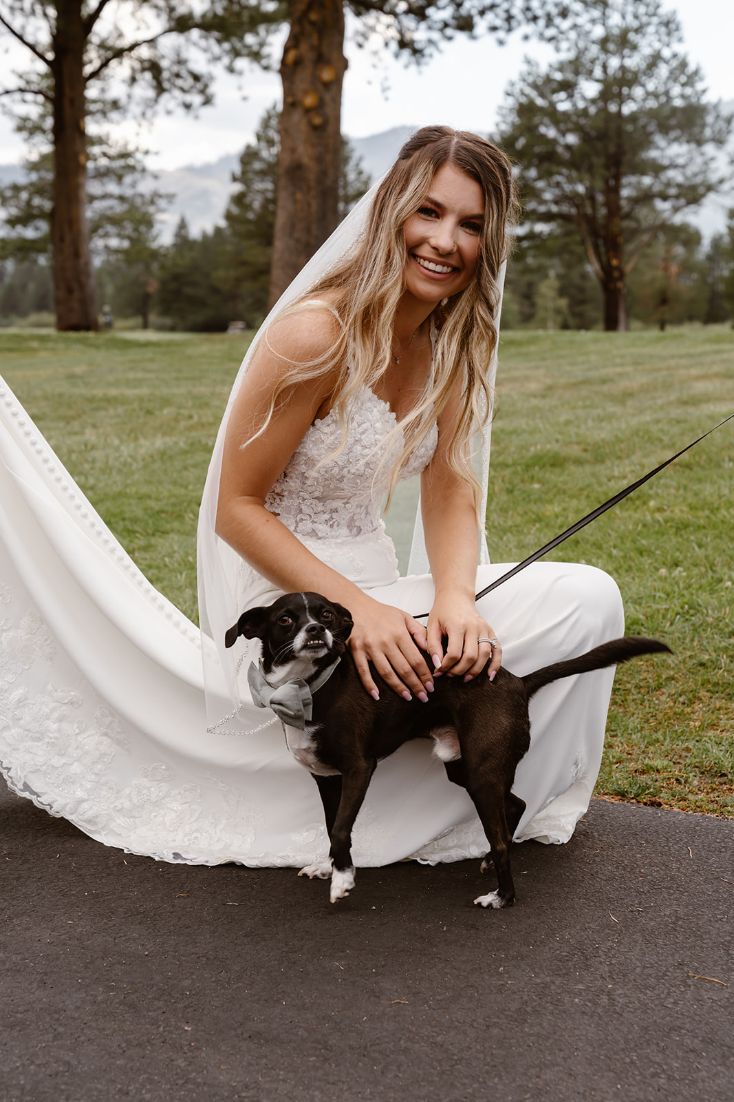 Bride smiles with small black dog at wedding