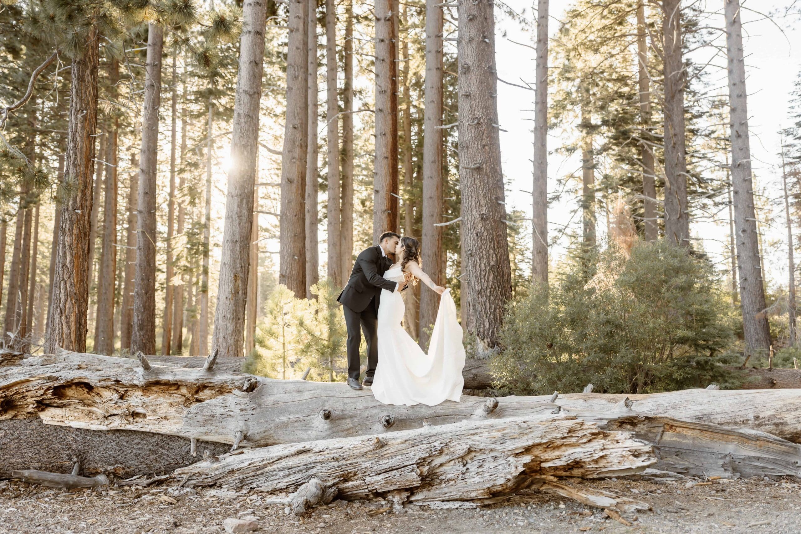 Lake Tahoe Elopement Guide 4 Lake Tahoe elopement couple kissing in a sunlit pine forest surrounded by tall trees and fallen logs.